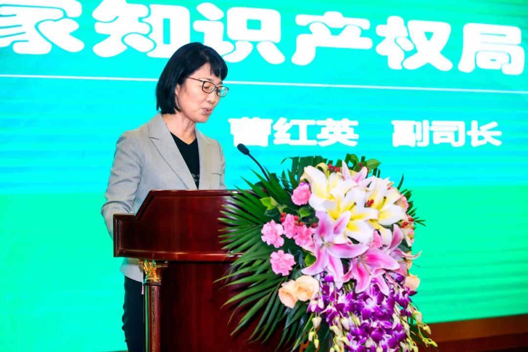 KU酷游官网-不凡成就非凡,相信品牌力量